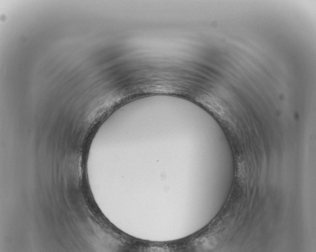 X0000088610302200706011234