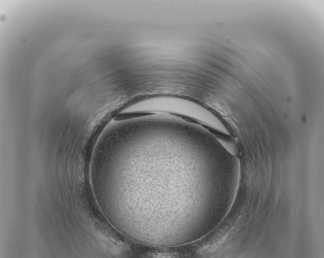 X0000088610303200706011234