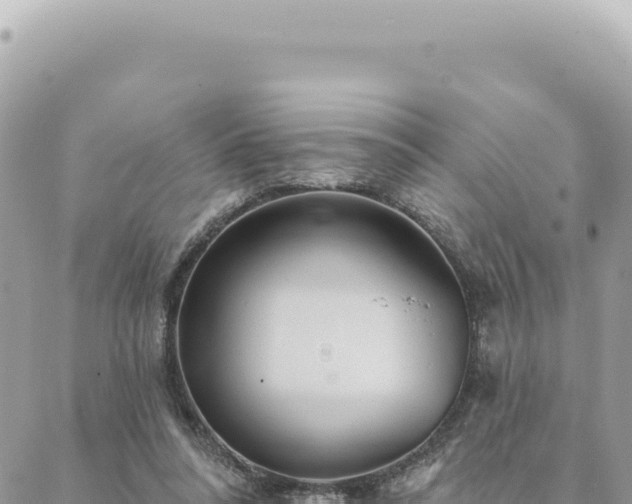 X0000088610304200706011234