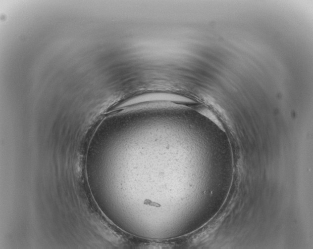 X0000088610305200706011234