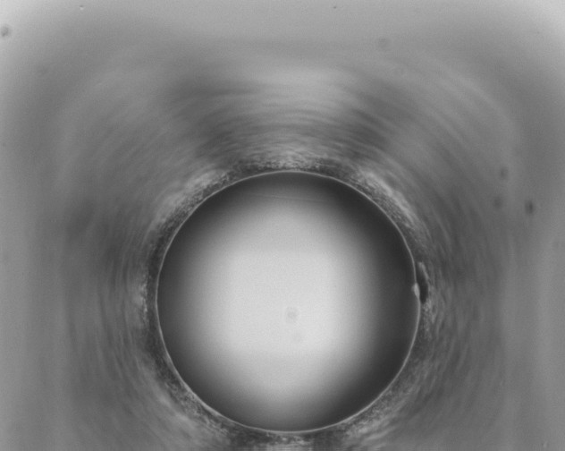 X0000088610306200706011234