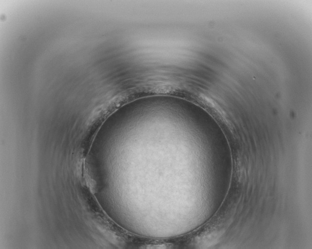 X0000088610307200706011234