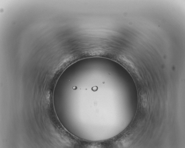 X0000088610308200706011234