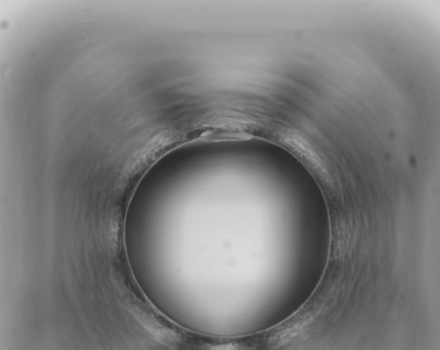 X0000088610309200706011234