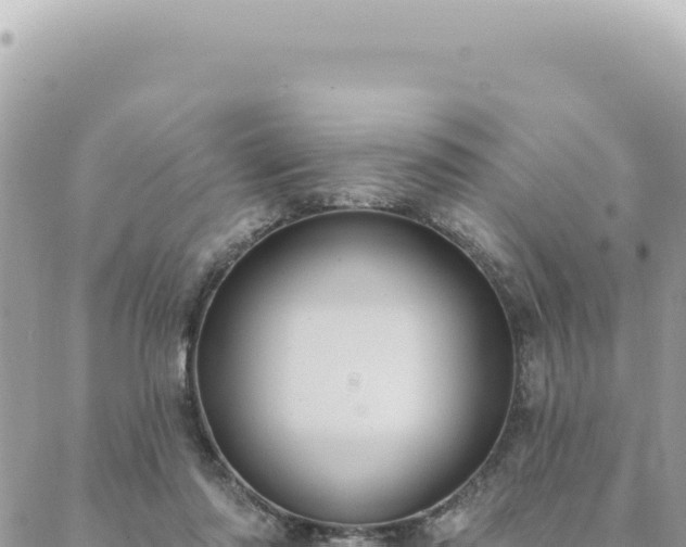 X0000088610310200706011234