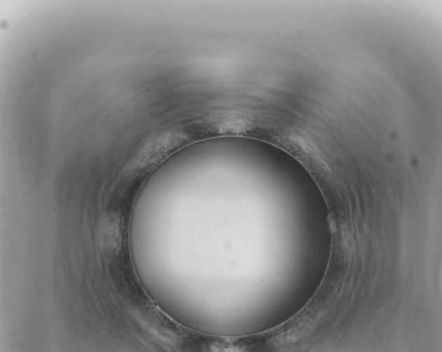 X0000088610311200706011234