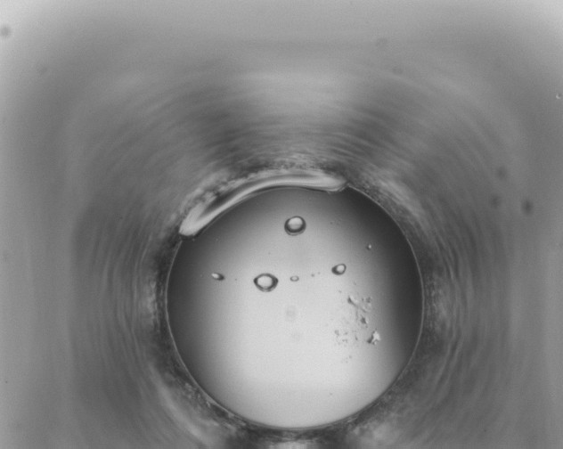 X0000088610312200706011234