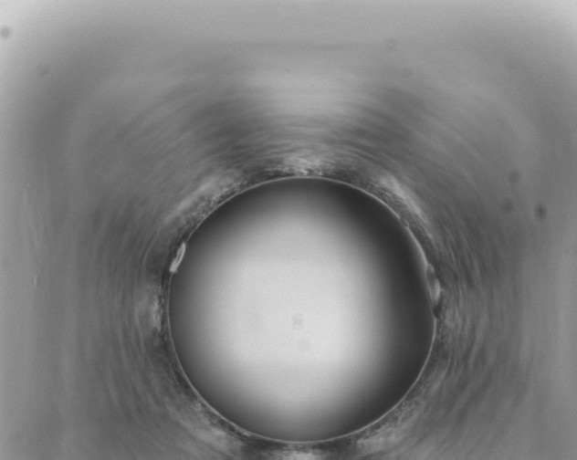 X0000088610313200706011234