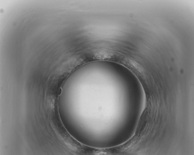 X0000088610315200706011234