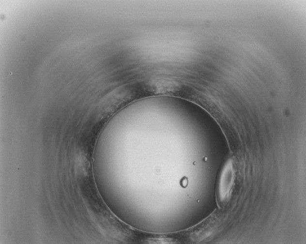 X0000088610316200706011234