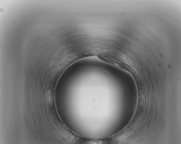 X0000088610317200706011234