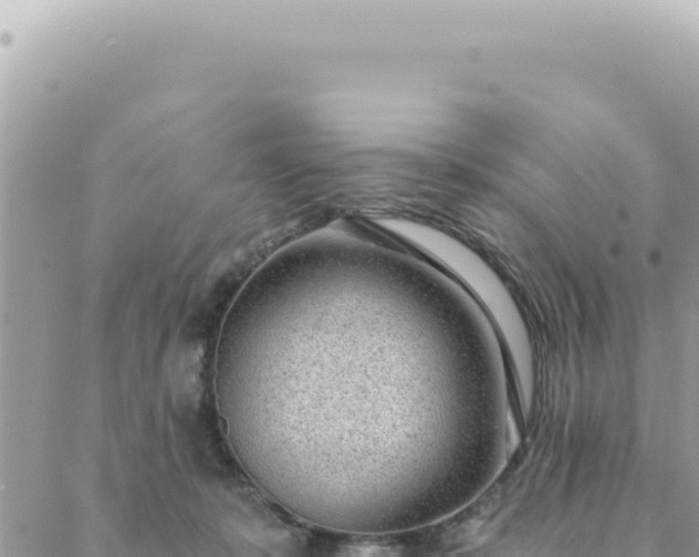 X0000088610319200706011234