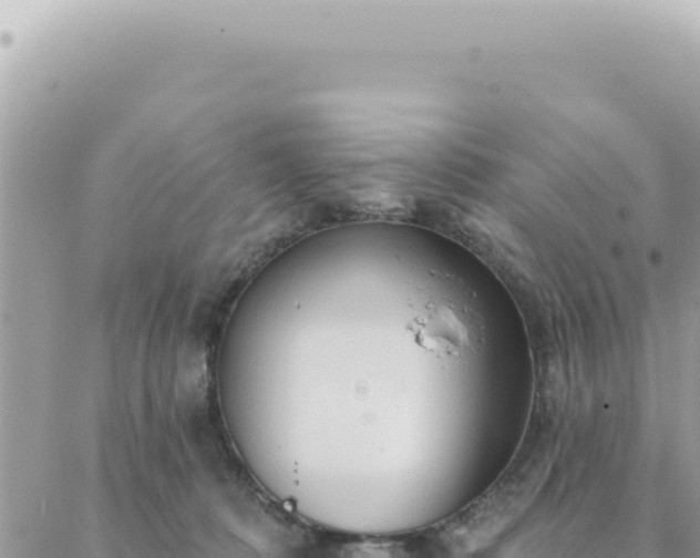 X0000088610320200706011234