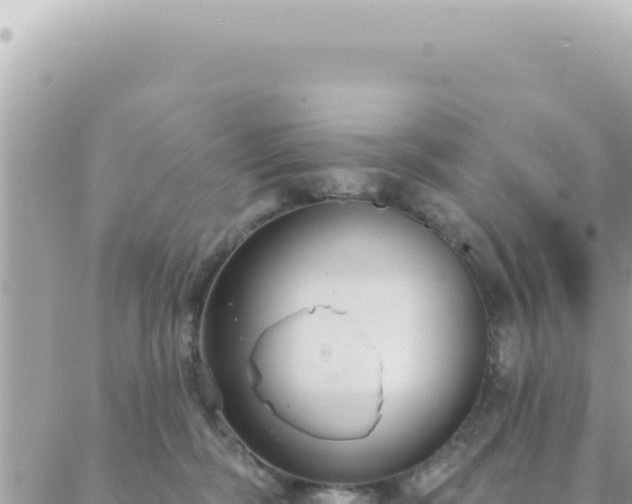 X0000088610326200706011234