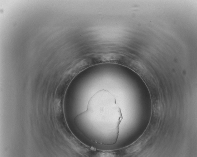 X0000088610327200706011234