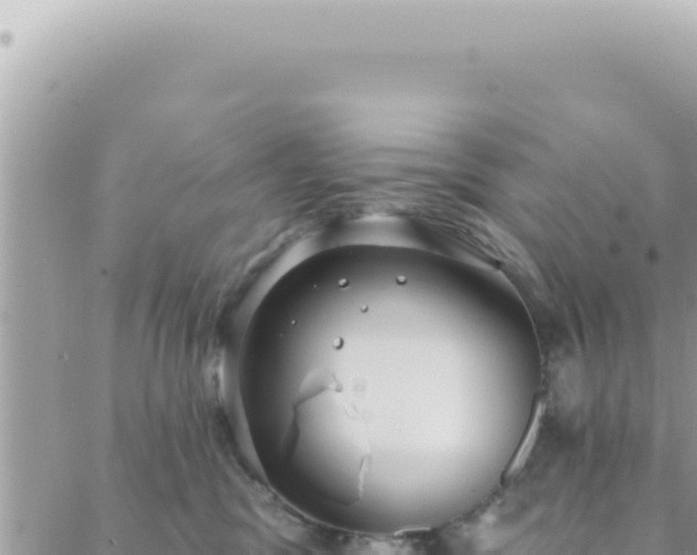 X0000088610329200706011234