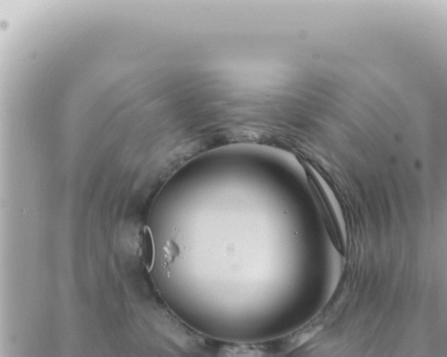 X0000088610331200706011234