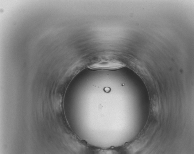 X0000088610332200706011234