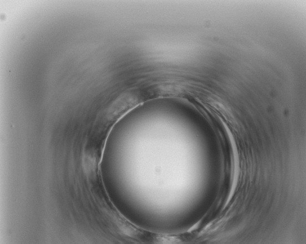 X0000088610333200706011234