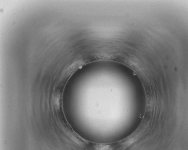 X0000088610334200706011234