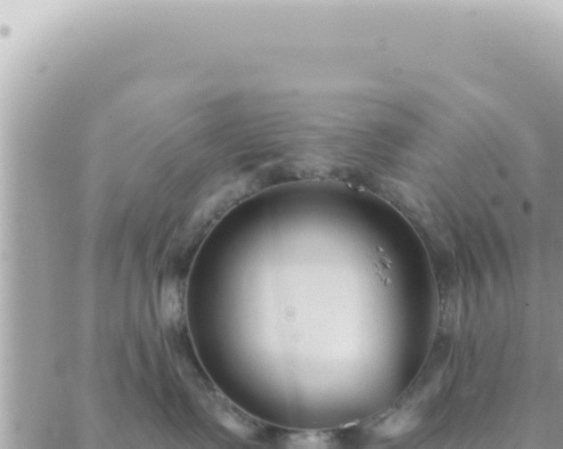 X0000088610335200706011234