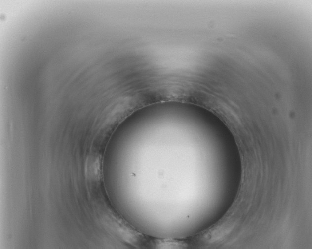 X0000088610336200706011234