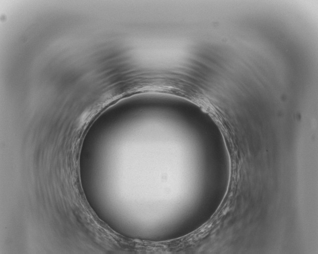 X0000088610337200706011233