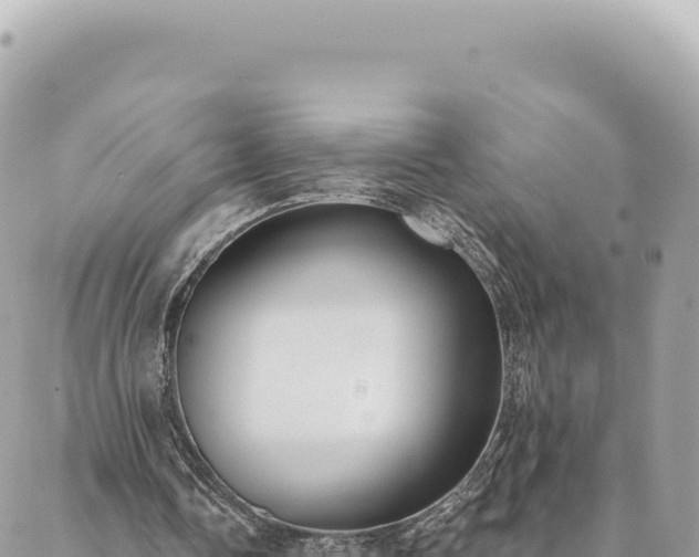 X0000088610338200706011233