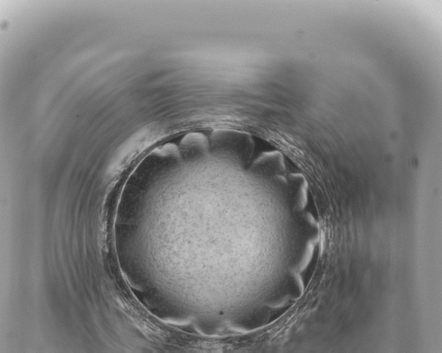 X0000088610339200706011233