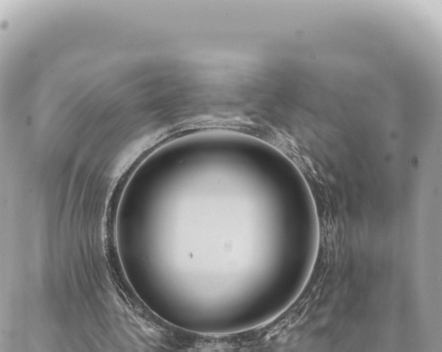 X0000088610340200706011233