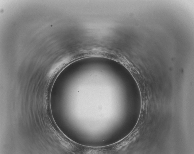 X0000088610341200706011233