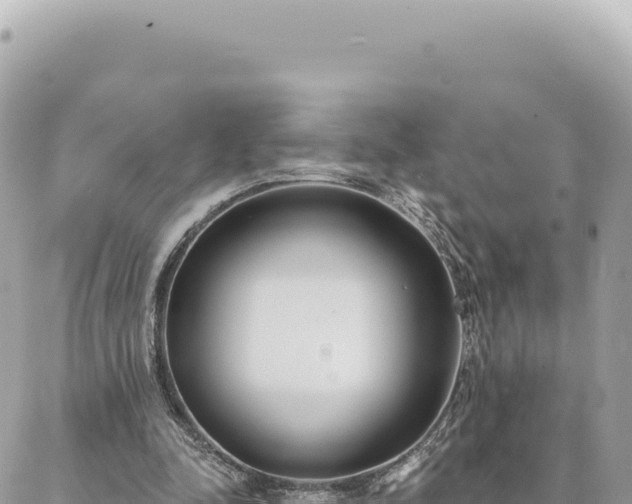 X0000088610342200706011233