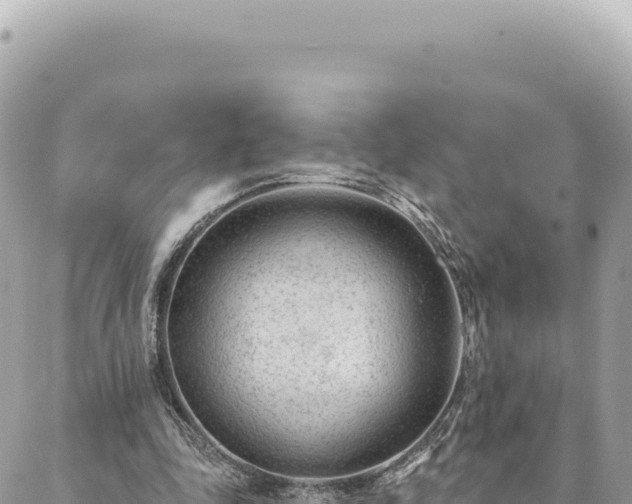 X0000088610343200706011233