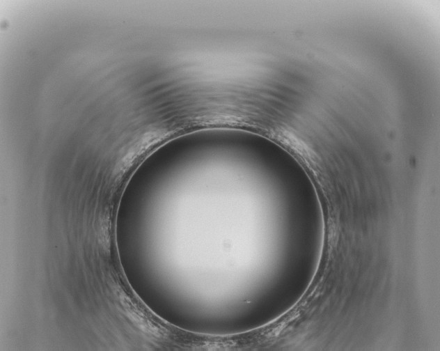 X0000088610345200706011233