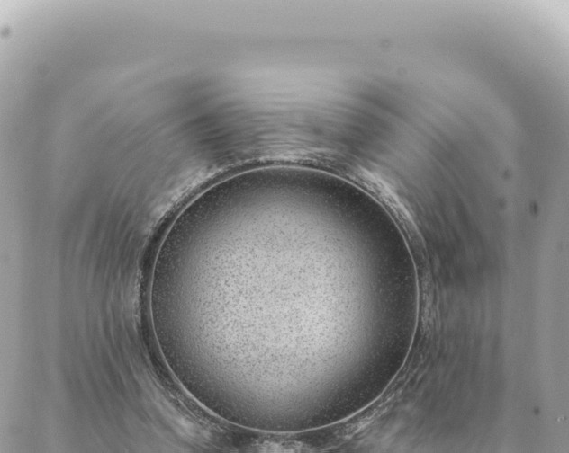 X0000088610346200706011233