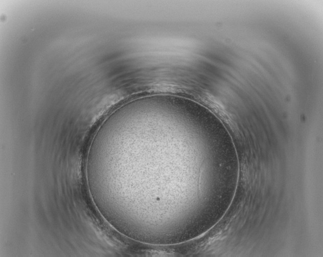 X0000088610347200706011233