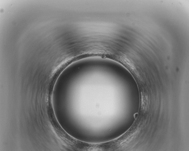 X0000088610348200706011233