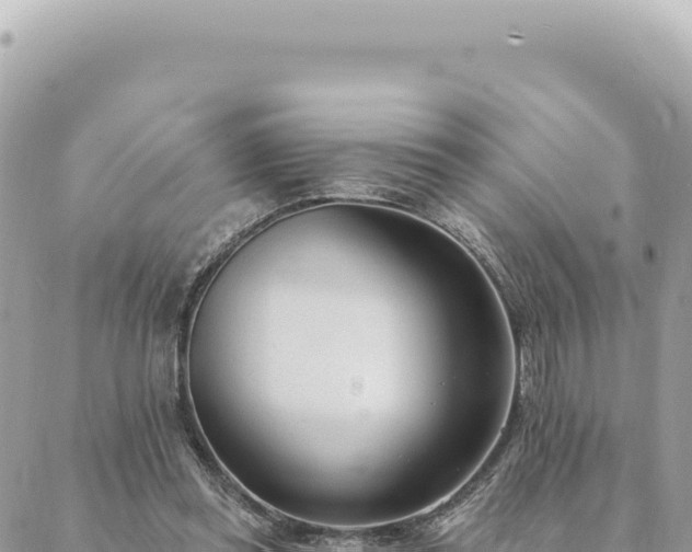 X0000088610349200706011233