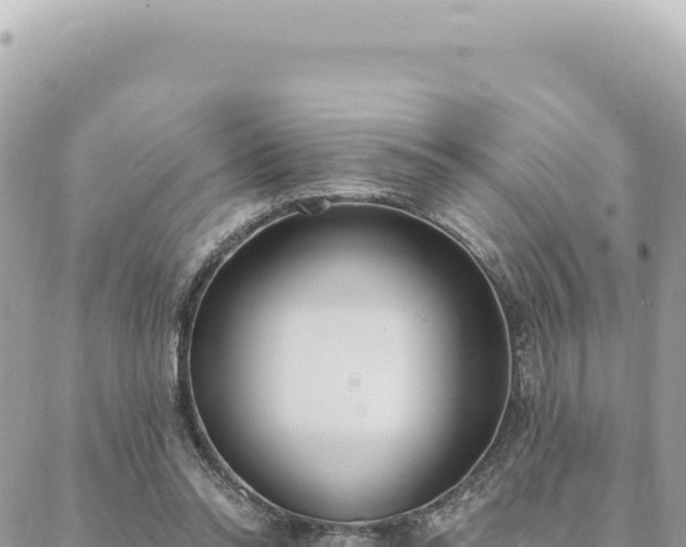 X0000088610350200706011233