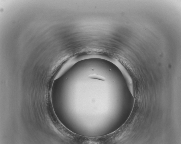 X0000088610352200706011233