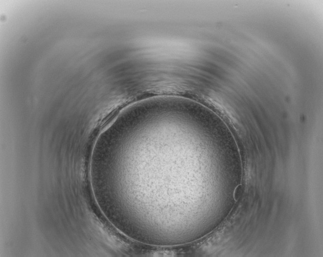 X0000088610353200706011233