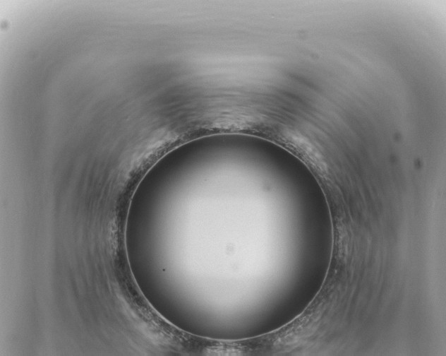 X0000088610354200706011233