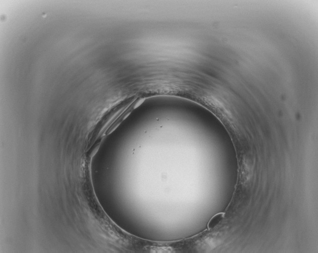 X0000088610355200706011233