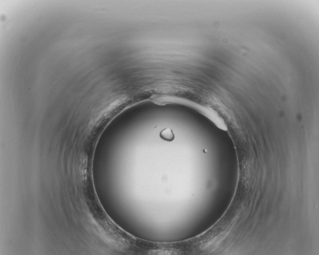 X0000088610356200706011233