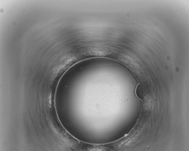 X0000088610358200706011233