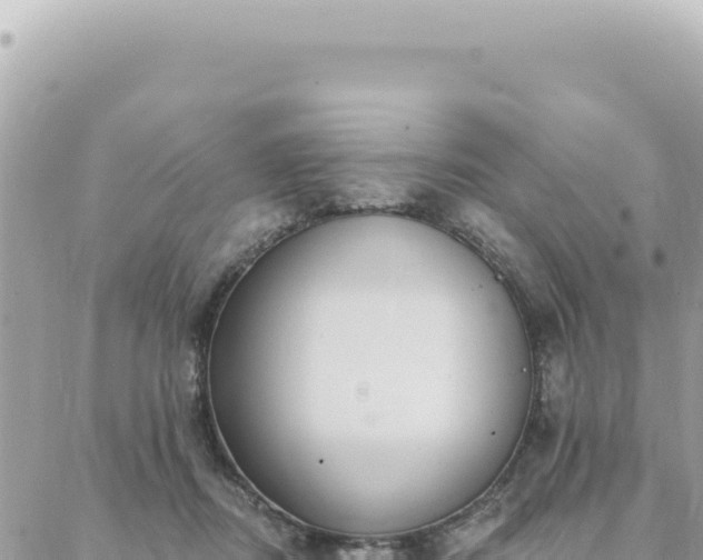 X0000088610362200706011233