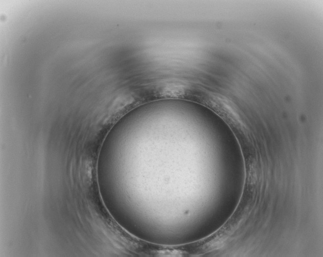 X0000088610363200706011233