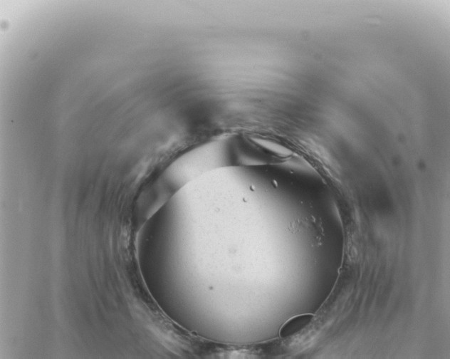 X0000088610365200706011233