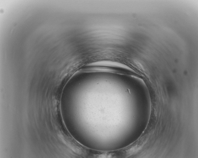 X0000088610366200706011233