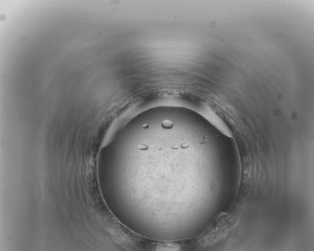 X0000088610369200706011233